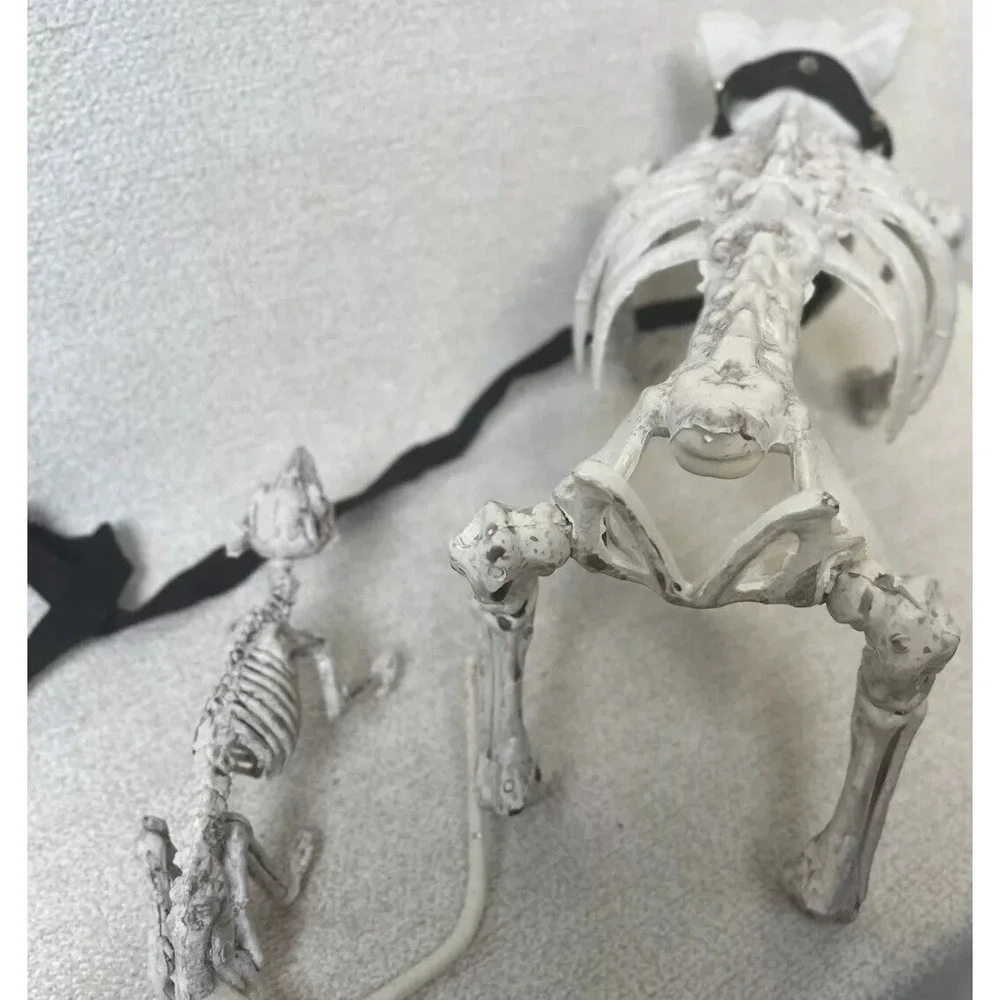 Skeleton Dogs Halloween Decorations Realistic Bones Scary Horror Lot 2